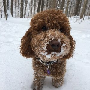 Meet your Posher, Heather